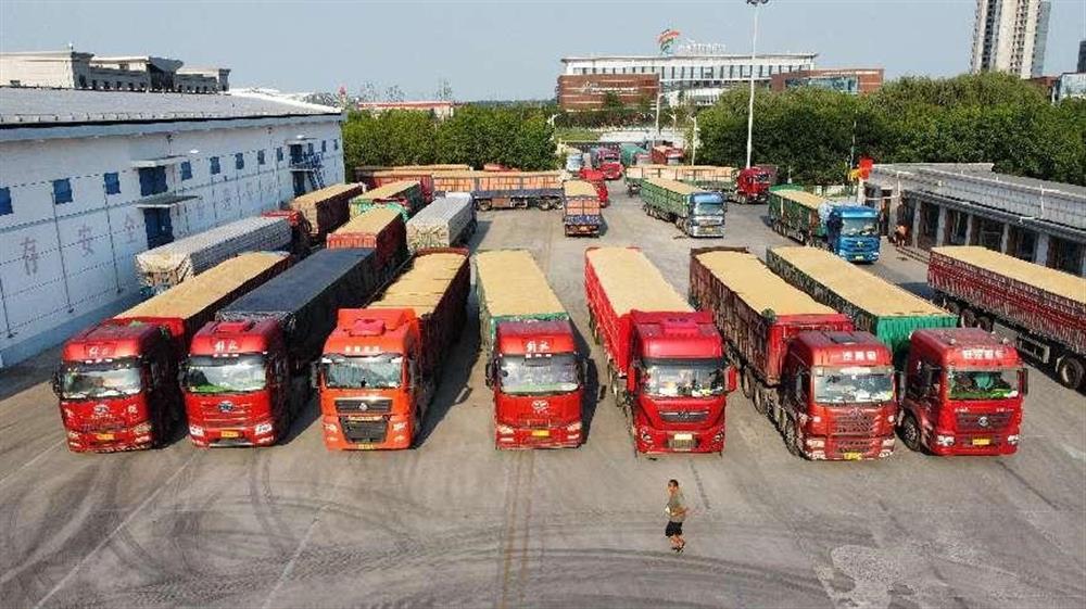 濟糧集團(tuán)順利完成2023年度市級儲備糧 輪換任務(wù)